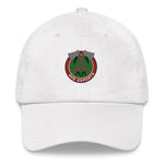 AHS Embroidered Dad hat