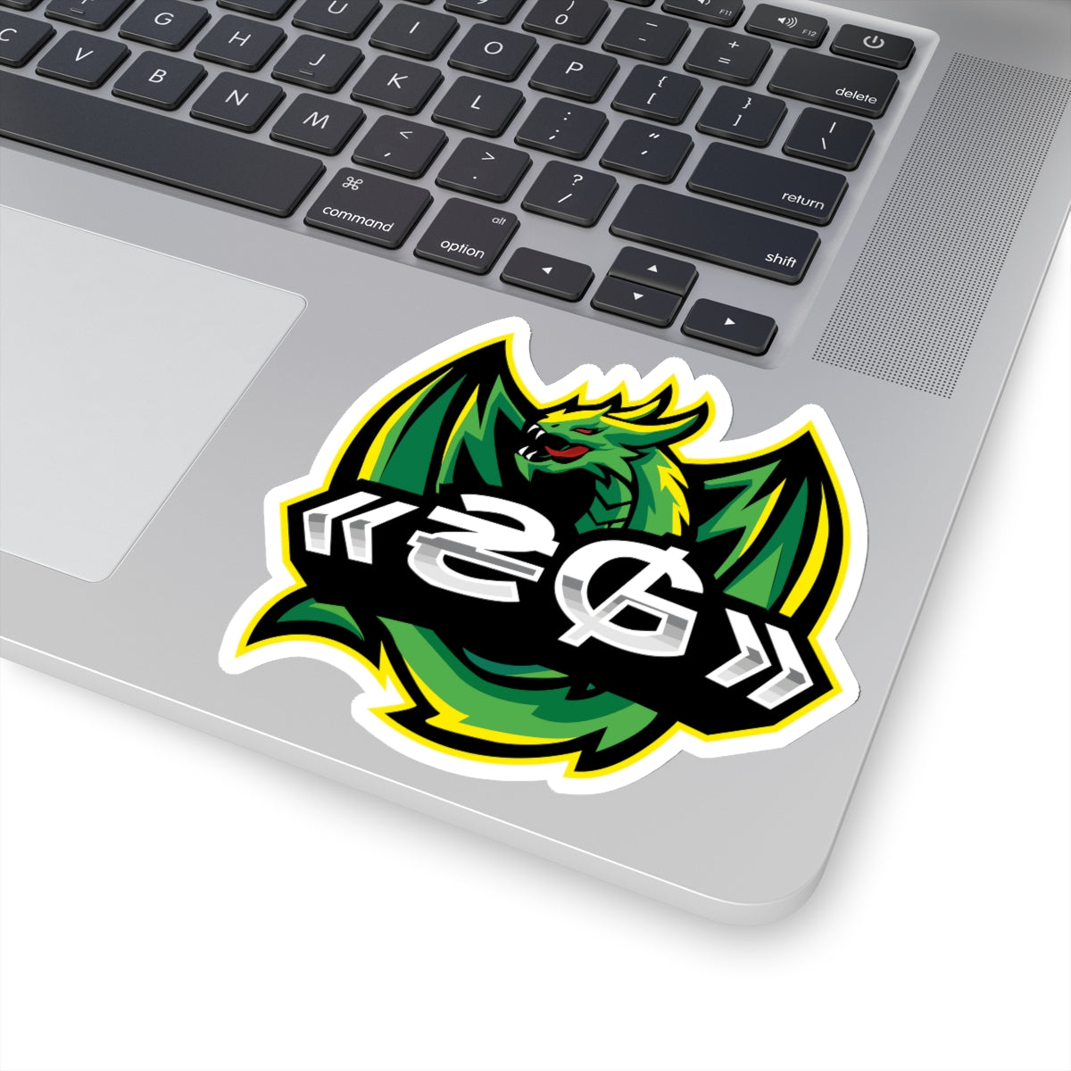 t-slg STICKERS