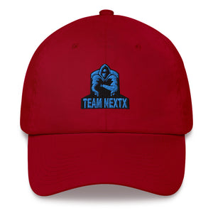 nxt Embroidered Dad hat