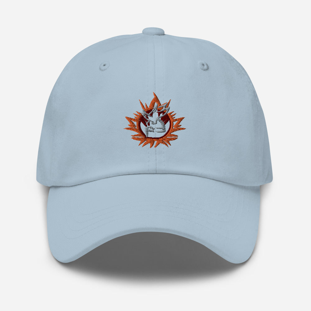 nord Embroidered Dad hat