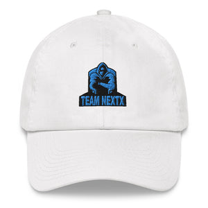 nxt Embroidered Dad hat