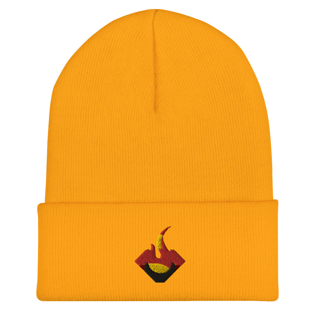 VALIANT Embroidered Cuffed Beanie