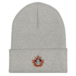 nord Embroidered Cuffed Beanie