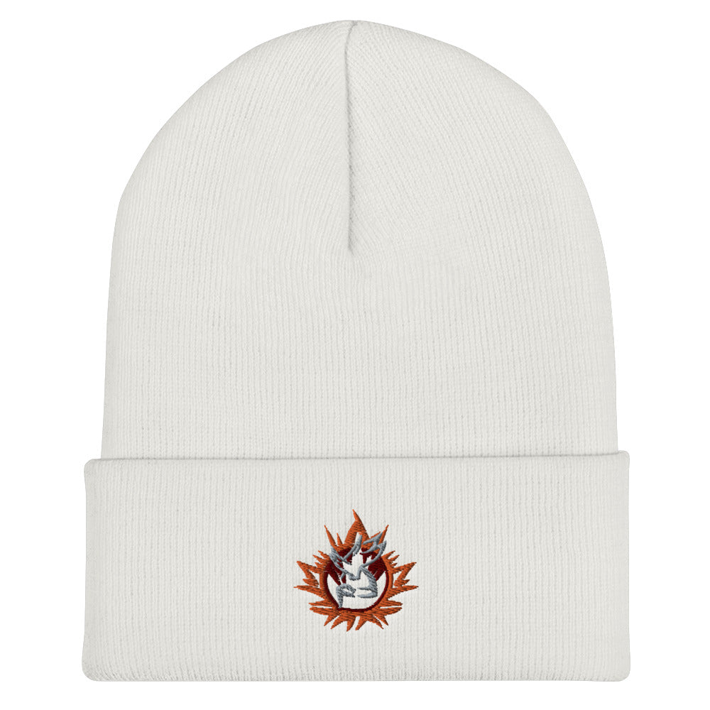 nord Embroidered Cuffed Beanie