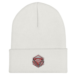 t-lg EMBROIDERED BEANIE