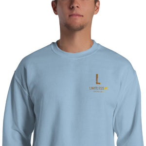 s-l4 SWEATSHIRT EMBROIDERED SWEATSHIRT 50% OFF!!! with code STITCH at checkout through Sunday Jan 20th