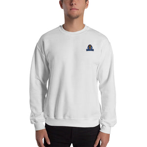 s-t5 EMBROIDERED SWEATSHIRT 50% OFF!!!  ........ (Use code "STITCH" at checkout Jan 14th-19th)