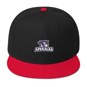 s-a6 EMBROIDERED FLAT BRIM  SNAPBACK