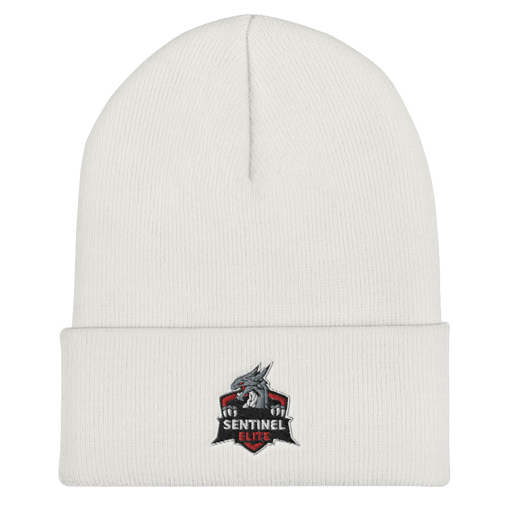 t-se EMBROIDERED BEANIE
