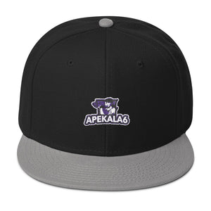 s-a6 EMBROIDERED FLAT BRIM  SNAPBACK