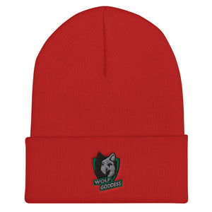 s-wgs EMBROIDERED BEANIE