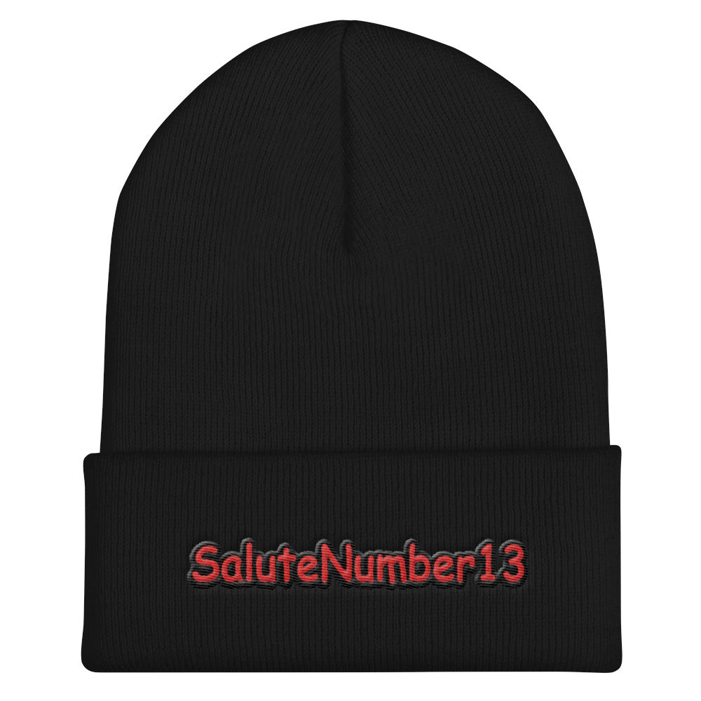 s-s13 EMBROIDERED BEANIE!!