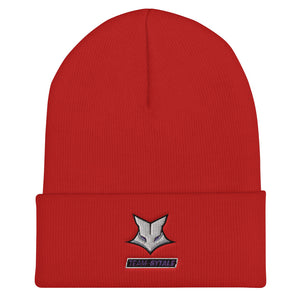 t-sy EMBROIDERED BEANIE