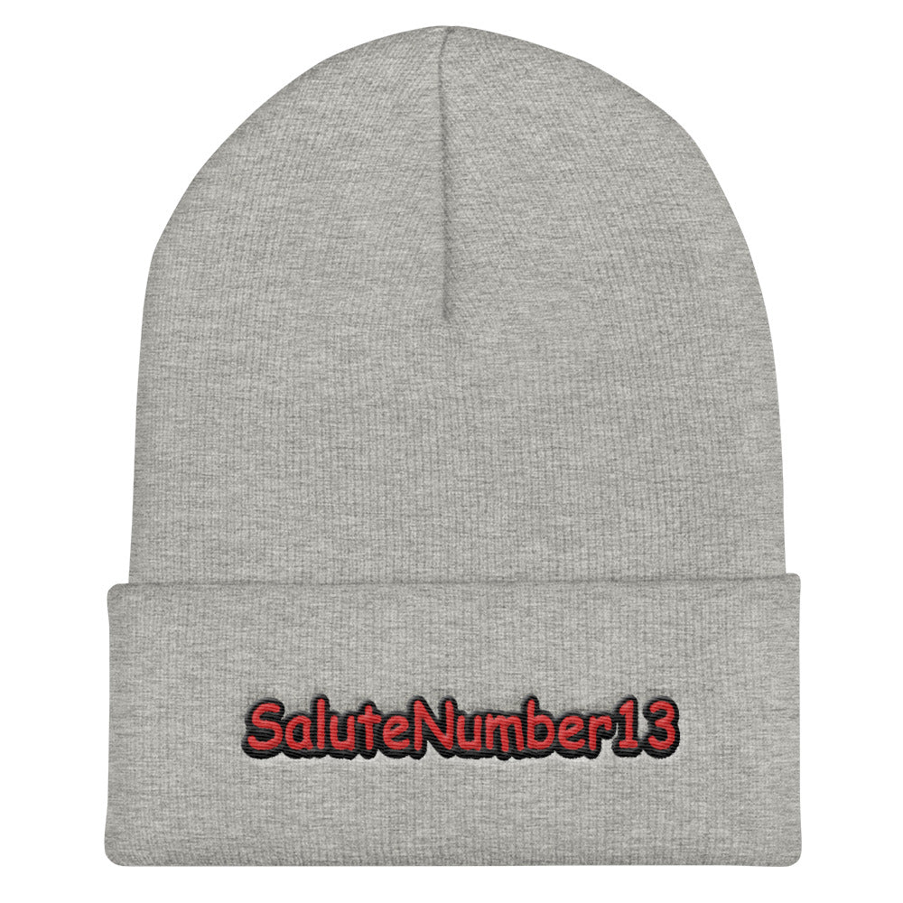 s-s13 EMBROIDERED BEANIE!!